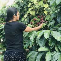 Divya  Ramesh's Photo