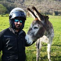 Joaquin Luis Campillo Martinez's Photo