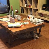 Julia Orange's Photo