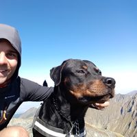 Steffen Rafeld's Photo