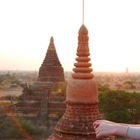 Alicia  Brunnert的照片