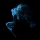 Bioluminescence Experience From Boat's picture