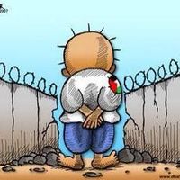 Seyfi Koray的照片