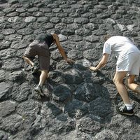 Stephane Bruere's Photo