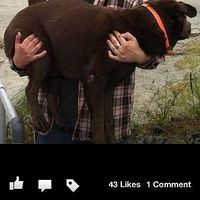 Roberto Scire's Photo