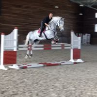 Fotos de Arslan İşçiler