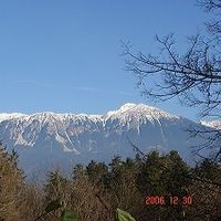 Selma Franov's Photo