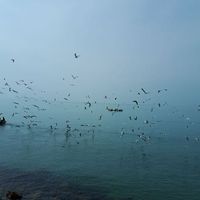 Arezou Khanmohamadi's Photo