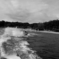 lucas carvalho pereira's Photo