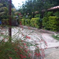Alberto Alarcon's Photo