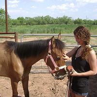 Fotos de Brittany Davi