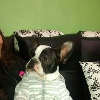 Anderson Burgos's Photo