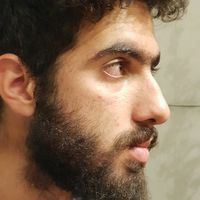 Kianoosh Jamshidi的照片