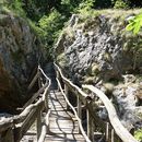 Visit Canyon & Carnival - Madquerade's picture