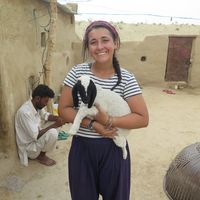 Sarah Glover的照片