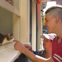 GULLIVER VII的照片