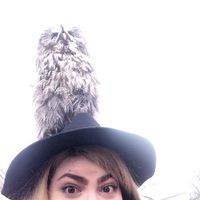 Anika Stolz的照片