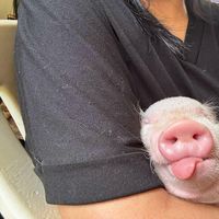 Labora Mae Cadiao的照片