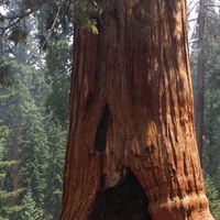 Linda Rochlitzer的照片