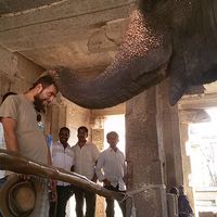 MOACA ANDREI的照片