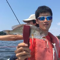 Yosuke Akiba's Photo