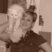 Banafsheh Sharifikhou's Photo