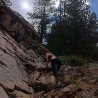 Julia Mintzer's Photo