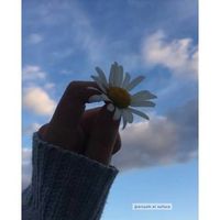 Aisyah Al Safura's Photo