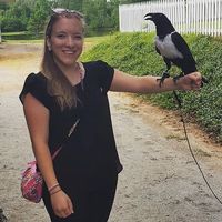 Fotos de Kelly McAdam