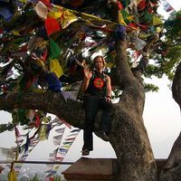 Flonn Decker的照片