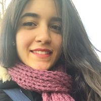 Maya Chammaa的照片