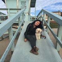 Rachel Hoang的照片