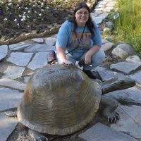 Penny Sebring的照片