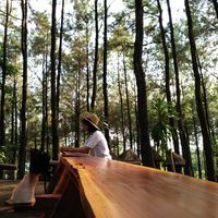 zulfa qonita的照片