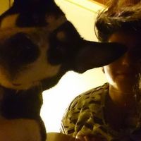 Andriana Koutsandrea的照片