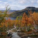 Helsinki-Lapland car share, cottage's picture