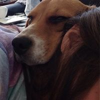 Skotty  Fuentes's Photo