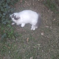 Lucia Pérez's Photo