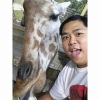 Fotos de Andrew Quach