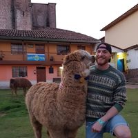 Gregor Balak的照片