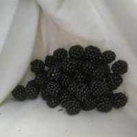 Borja Antela的照片