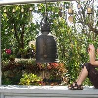 Eric C Herot's Photo