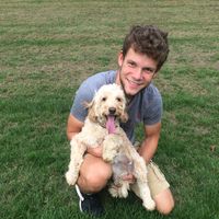 shmuel gordon's Photo