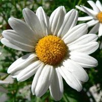 Hoài Thương Nguyễn Huỳnh的照片