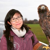 Фотографии пользователя Chilita Lau