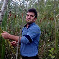 armin bakhshi的照片