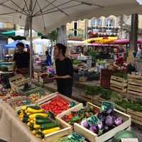 Anne Fleur Merlaud的照片