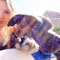 Daniela Grunte的照片