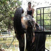 Tess Jacobsen的照片