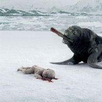 Mario Juarez's Photo